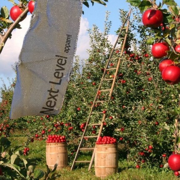 Next Level Apparel Apples to Apples Graphic Tee - Picture 2 of 8